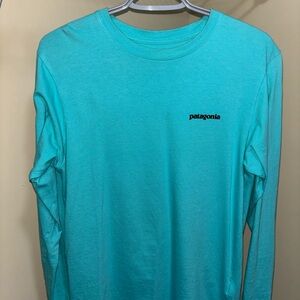 patagonia tee